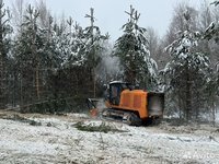  Услуги гусеничного с широкой гусянкой мульчера