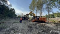 Расчистка территорий от деревьев и пней от 1 Га